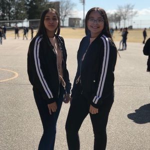 Meet your Posher, Yoshi